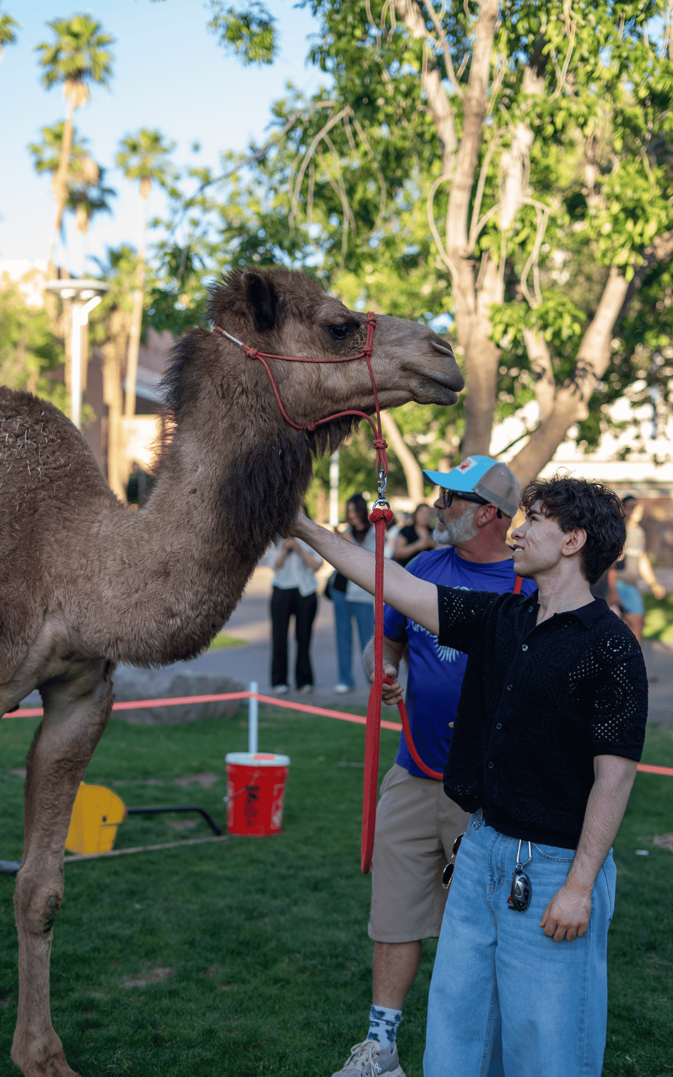 Cover Image for Caravan Nights Draws 650, Signals Growing Demand for Cultural Connection at ASU