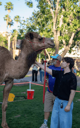 Caravan Nights Draws 650, Signals Growing Demand for Cultural Connection at ASU
